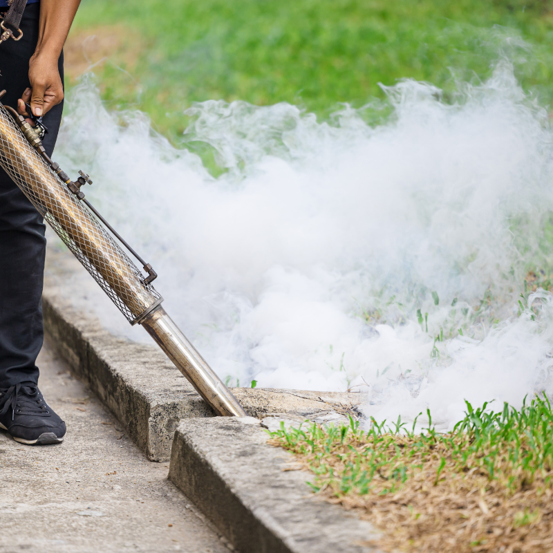 Mosquito Control Noida