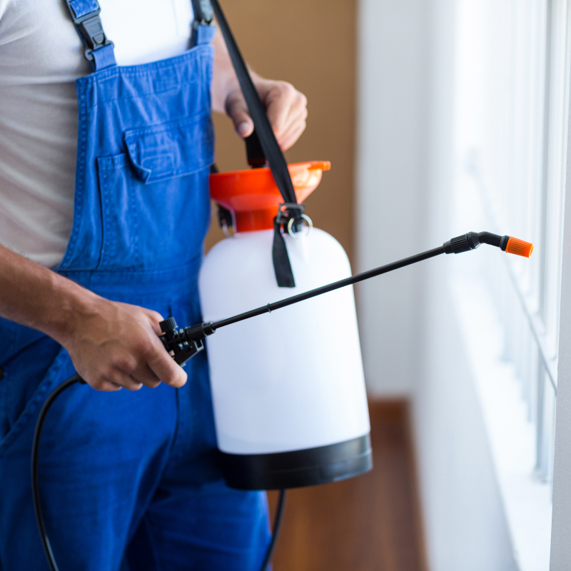 Office Pest Control Noida 