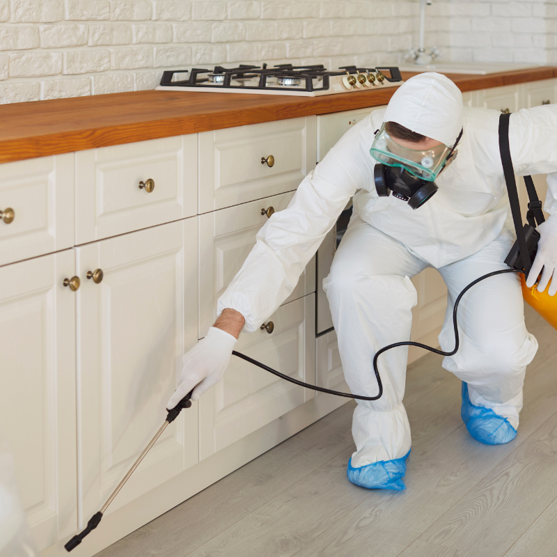 Fly Control Noida 